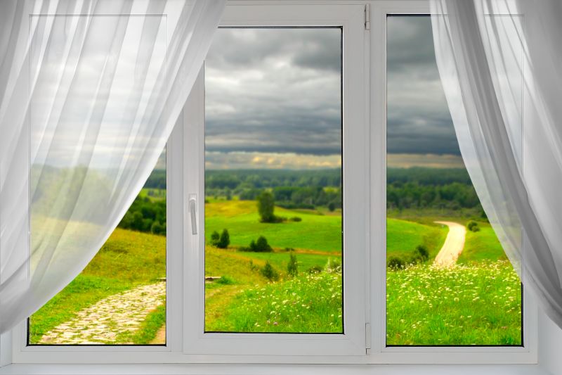 Large Picture Window with View